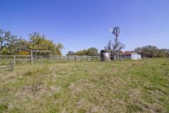 cattle pens (2)