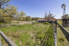 cattle pens