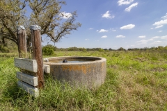 cattle trough