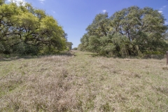 oaks 5