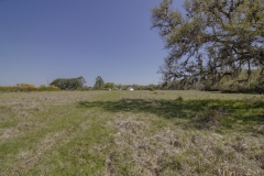 pasture 2