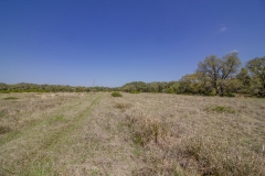 pasture 3
