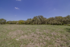 pasture 4