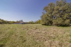 pasture view