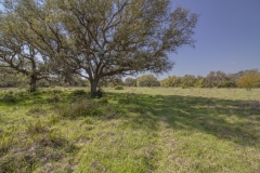 pasture
