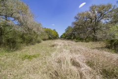 sendero