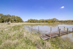 tank pier