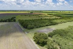 DJI_0041