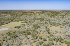 DJI_0022