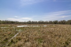 IMG_7937