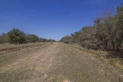 IMG_7943