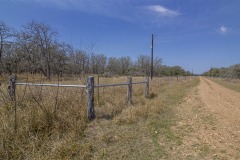 IMG_7951