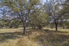 IMG_7963