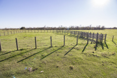 mt-ranch-cattle-pens