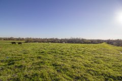 mt-ranch-front-pasture-2