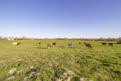 mt-ranch-front-pasture