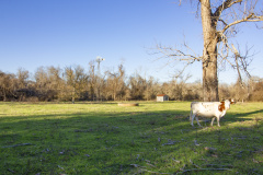 mt-ranch-open-area-2