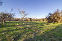 mt-ranch-open-area
