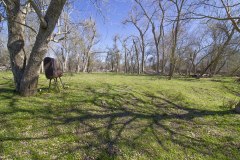 mt-ranch-river-open-area