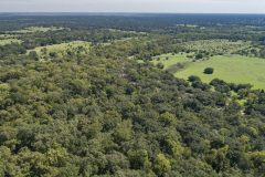 DJI_0040