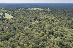 DJI_0042