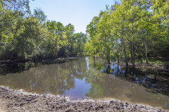 Navidad-Rier-Ranch-Pond