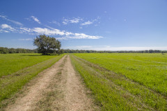 Navidad-River-Ranch-Open-Area-Road