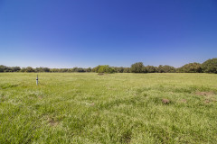 Navidad-River-Ranch-Open-Pasture
