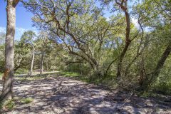 Navidad-River-Ranch-River-Bottom-2
