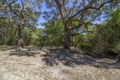 Navidad-River-Ranch-River-Bottom