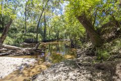 Navidad-River-Ranch-River
