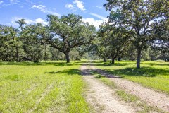 Navidad-River-Ranch-Trail-VIew-2