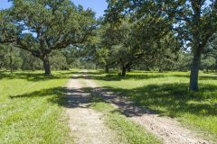 Navidad-River-Ranch-Trail-View