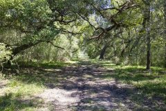 Navidad-River-Ranch-Trails-3-2