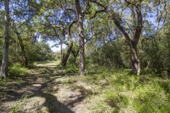 Navidad-River-Ranch-Trails