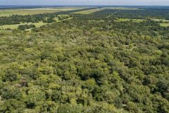Navidad-River-Ranch-Wooded-Aera