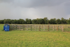 Cattle Pens