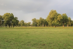Pasture 3