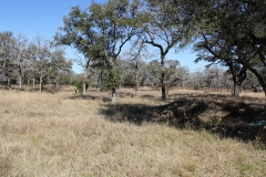 17 acres pasture