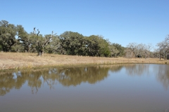 17 acres pond 2