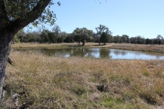17 acres pond
