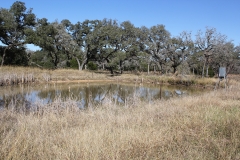 17 acres second pond