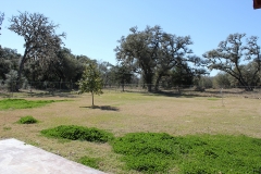 ross ranch guest back yard
