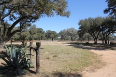 ross ranch land 2
