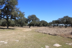 ross ranch land 3