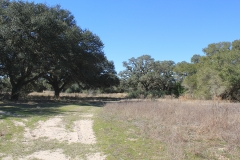 ross ranch land oaks