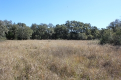 ross ranch land open areas