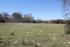 ross ranch land pasture (2)