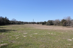 ross ranch land pasture 3