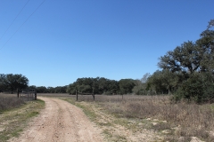 ross ranch land pasture 4